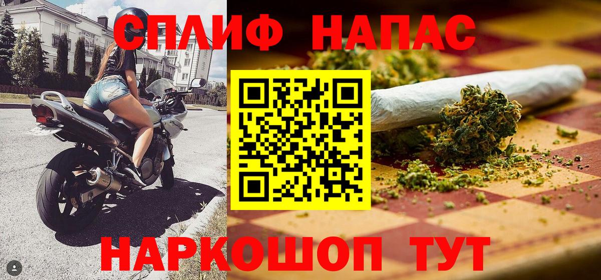 МАРИХУАНА конопля Будённовск